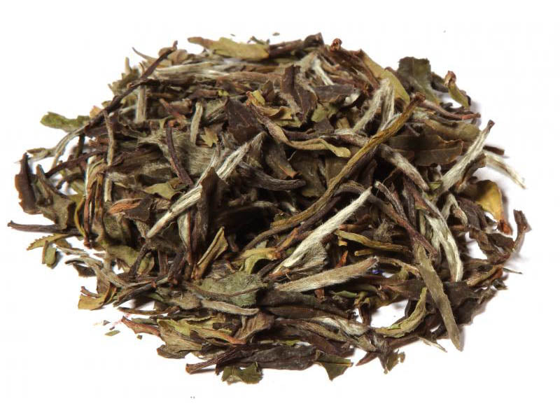 Tè bianco Pai Mu Tan biologico