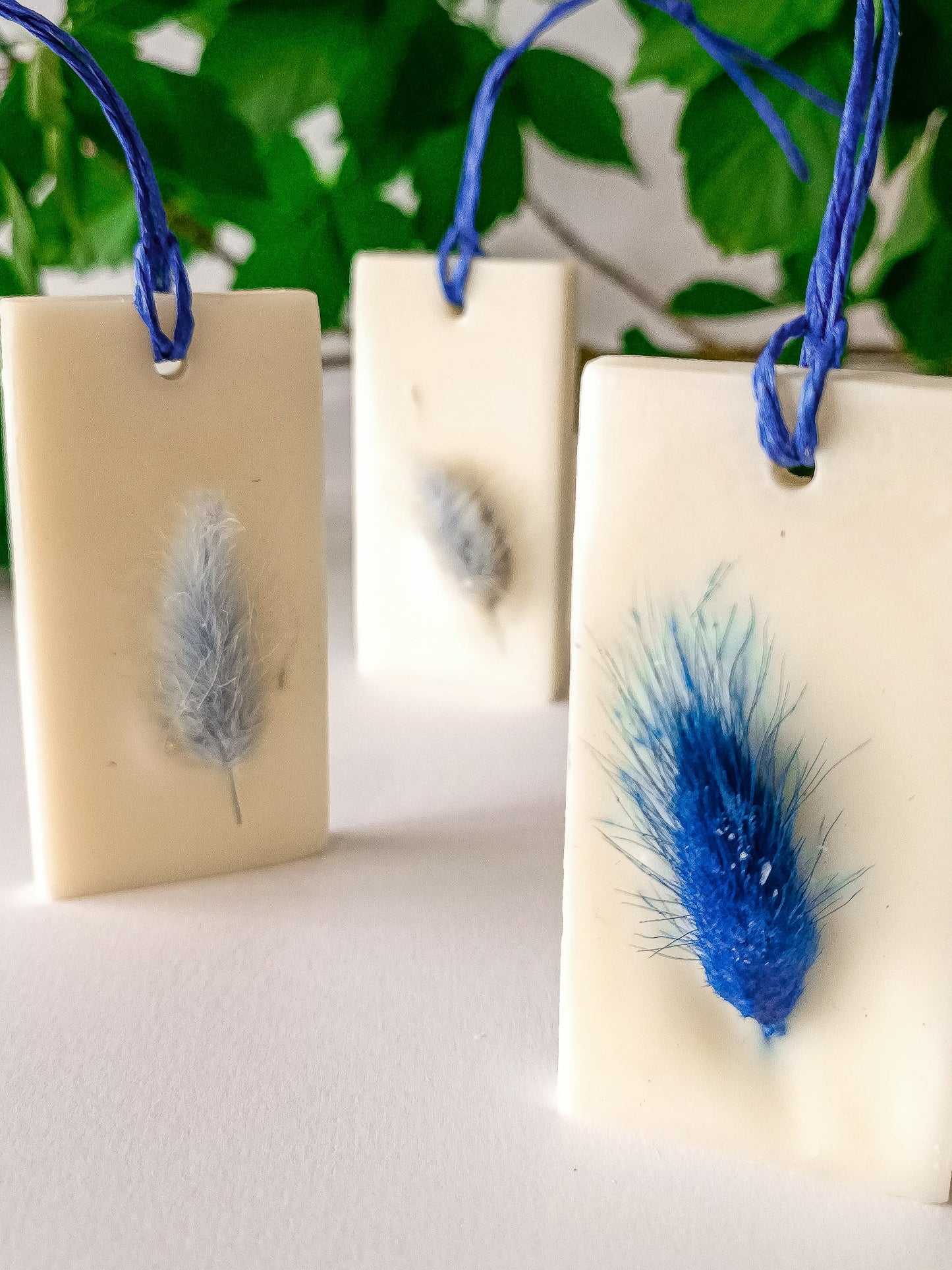 SEA BREEZE - Tarte Artisanale Parfumée à la Cire de Soja