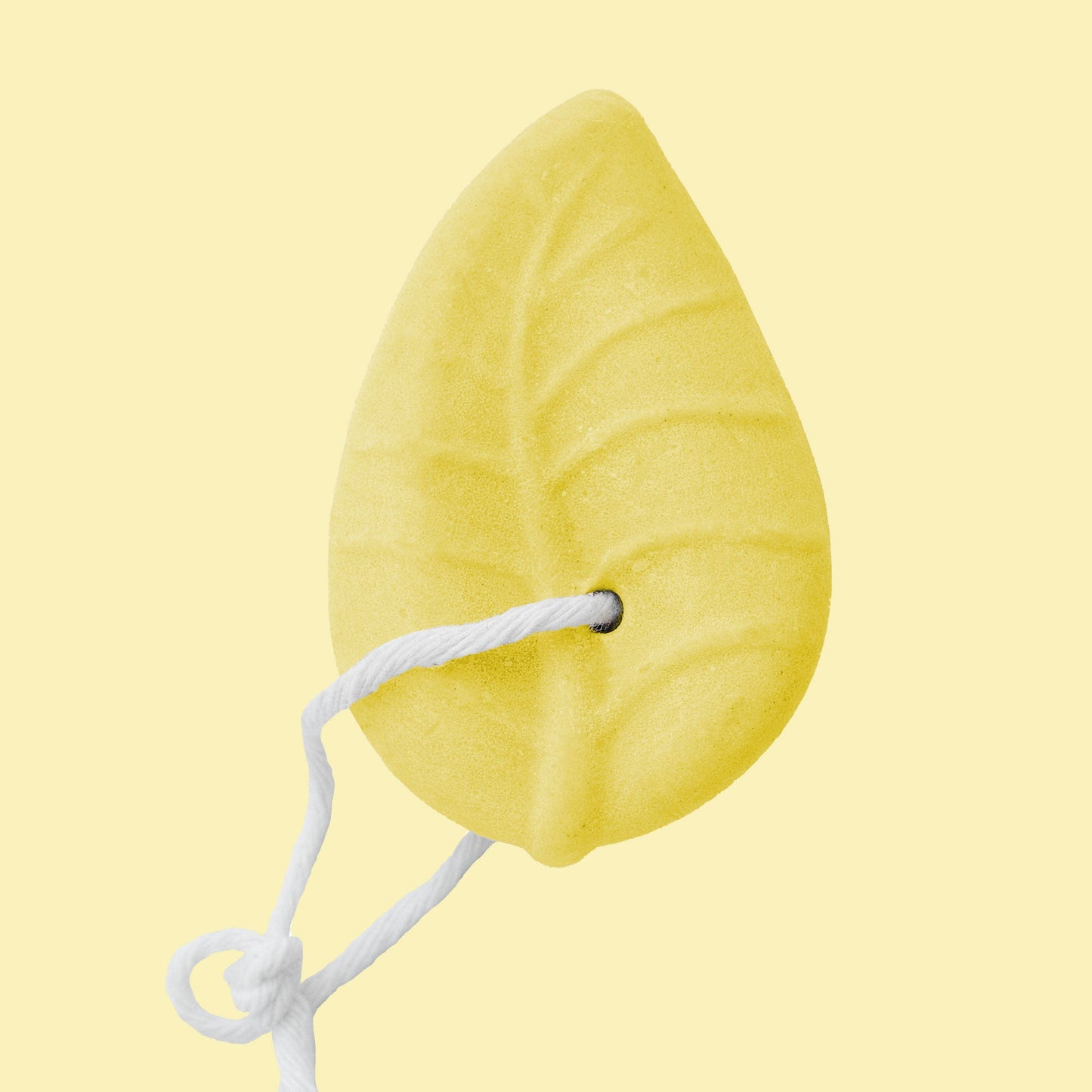 Shampoing Solide Curcuma et Gingembre