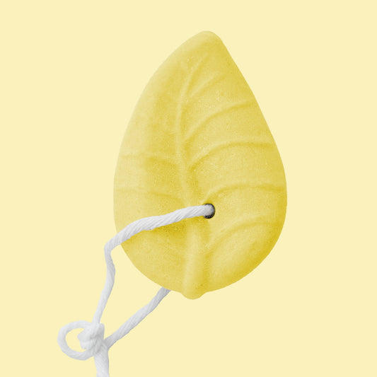 Shampoing Solide Curcuma et Gingembre