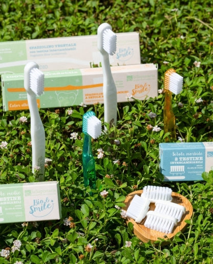 Brosse à dents en fibres végétales - poils moyens