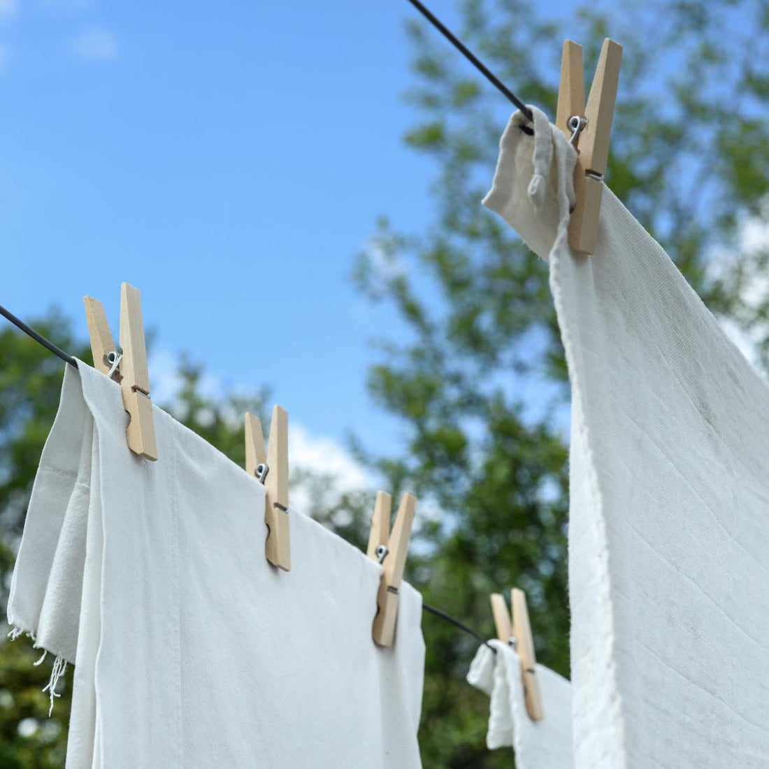 🌿 Prevendita Promozionale: I Saponi Biolù alla Spina per la Cura della Casa Sono Arrivati!
