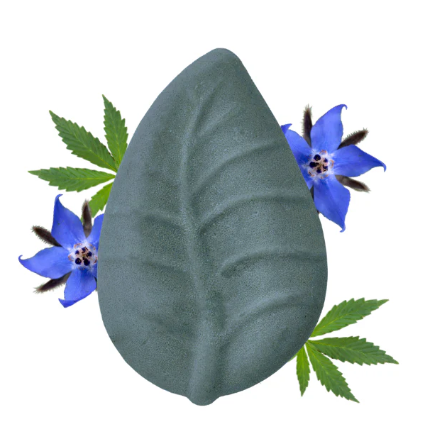 Balsamo Solido Borragine e Canapa