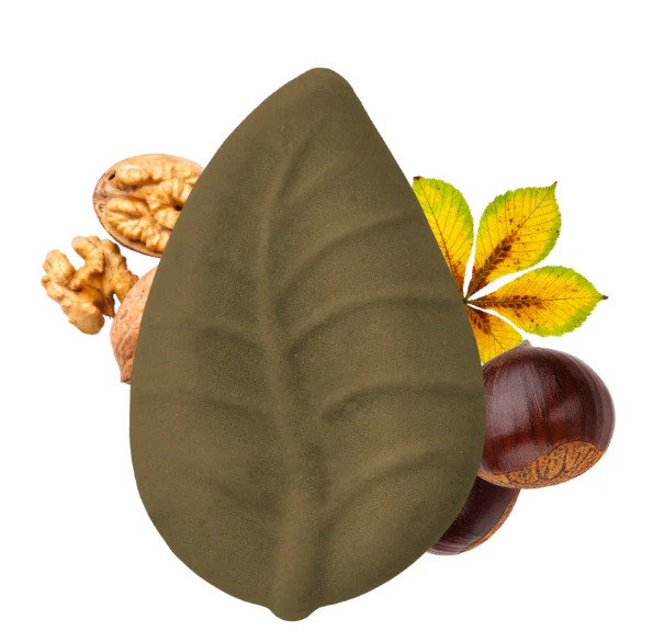 Balsamo Solido Castagna e Noce