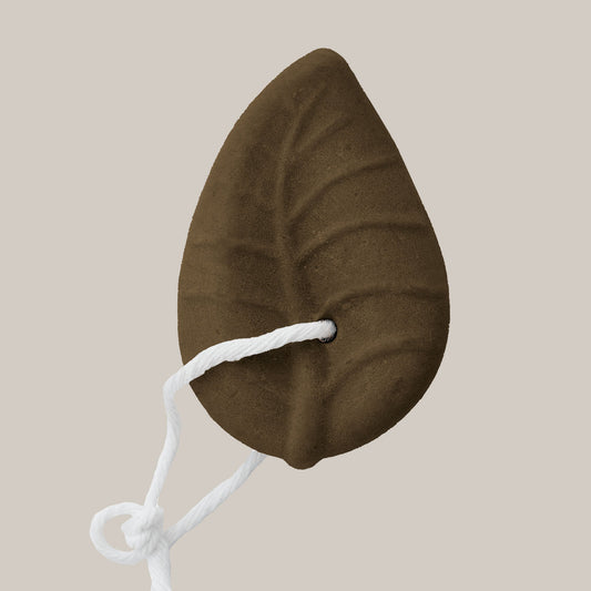Solid Chestnut and Walnut Conditioner